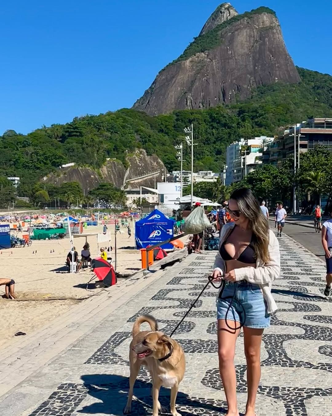 Portuguese Mosaic Promenade – Leblon Beach, Rio de Janeiro