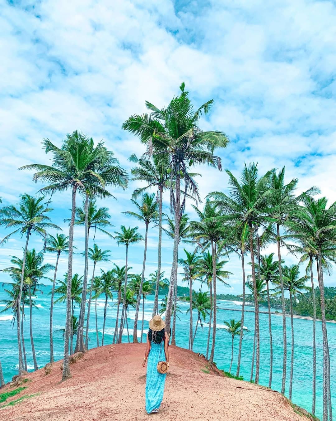Coconut Hill – Sri Lanka’s Iconic Palm Paradise